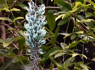 N Luana St Leilani Ests, Pahoa, HI 96778