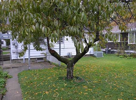 2nd image of 639 Greenbay Ave