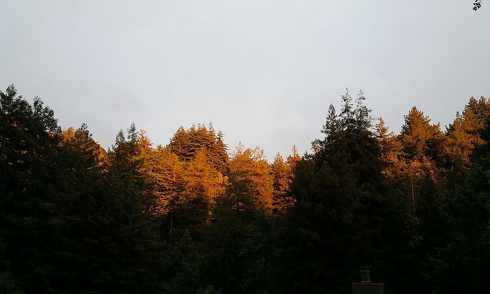 View from living area/decks