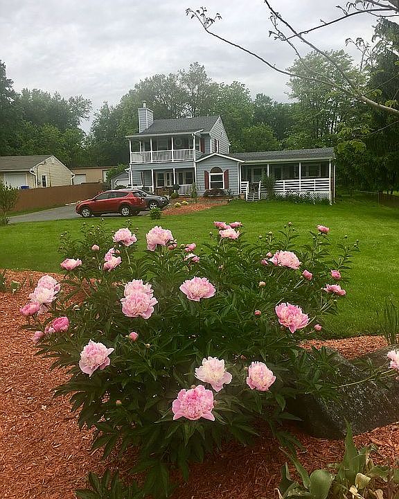 2nd image of 26836 Howard Chapel Dr