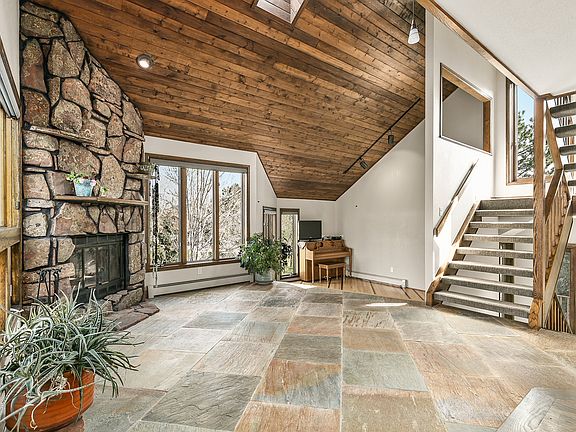 Wood burning fireplace