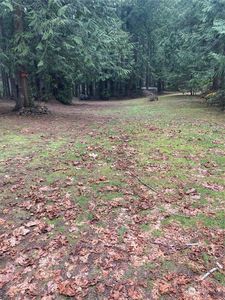 5900 N Lake Cushman Road, Hoodsport, WA, 98548