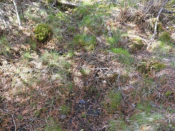 5th image of Pratt Junction Rd