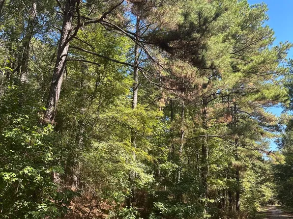 A Milville Rd, Canton, MS 39046