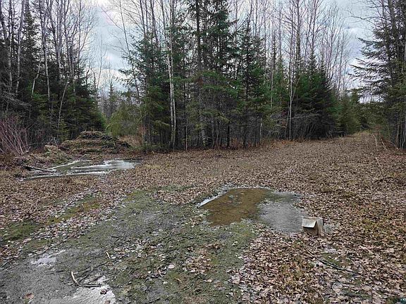 5th image of 10918 Oja Rd