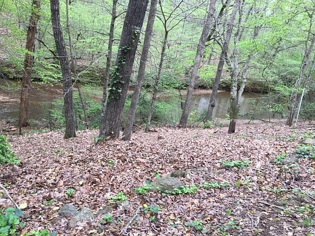 Back yard & CREEK