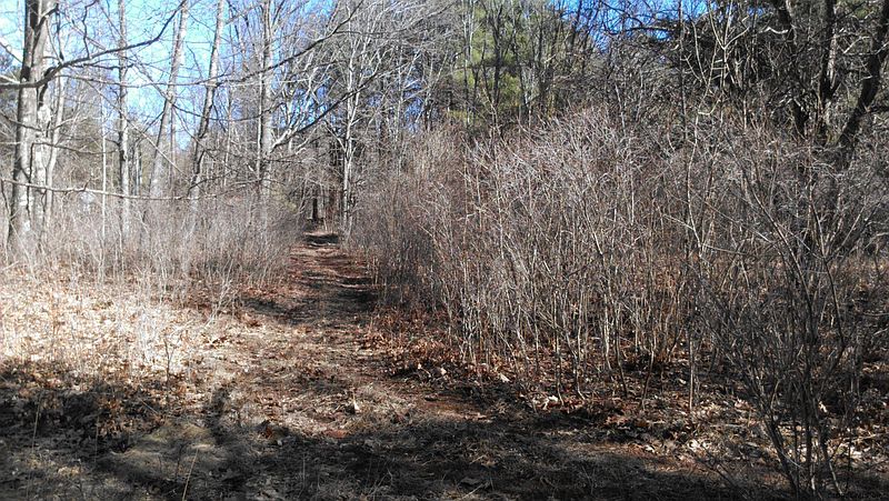 2nd image of 0 BAILEY Road
