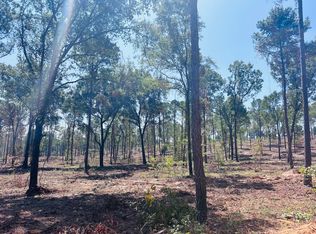 0 Hicks Rd LOT 1B, Reynolds, GA 31076