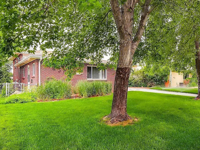Front yard