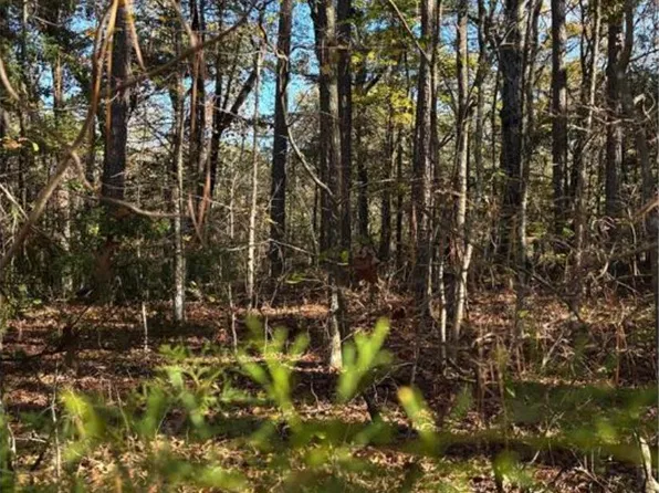 151 Woodrun Cir #151, Middleton, TN 38052
