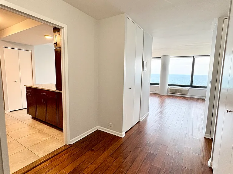 155 N Harbor Dr #2411 — Photo 3
