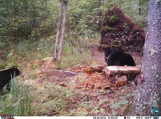 Xxx Pete Anderson Rd, Sandstone, MN 55072