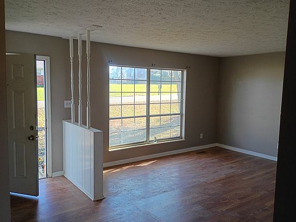 Front door entryway into living room