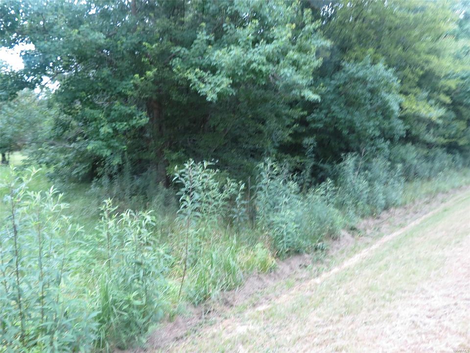 2nd image of 505 Buckview Ct