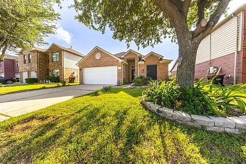 2203 Mountain Ranch Dr Photo 1