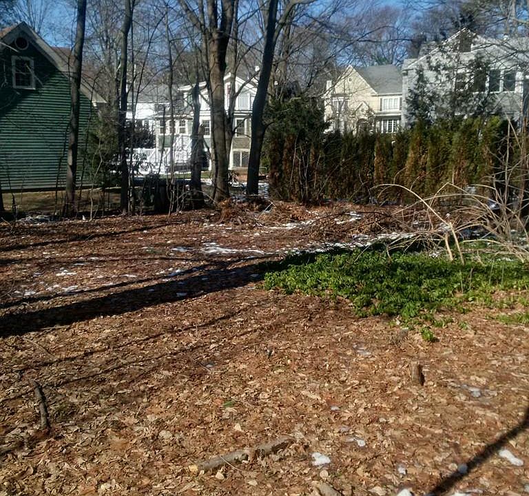 2nd image of 21 Cotter Rd #19