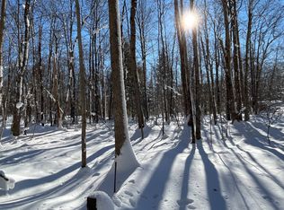 204 Dam Rd, Altmar, NY 13302