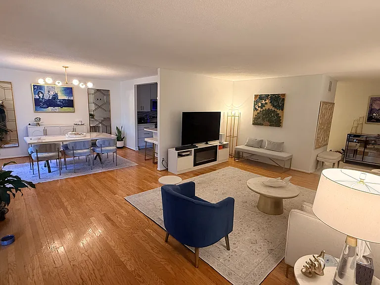 Dining / Living room view