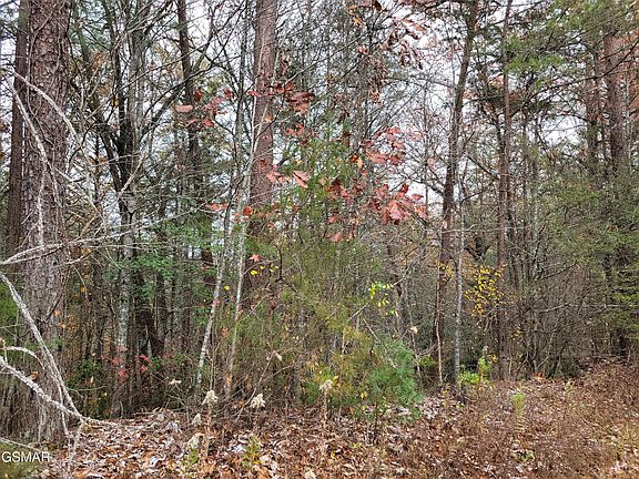 4th image of 12 Ridge View Dr Lot 1&2