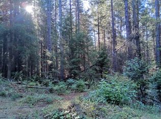 1 Big Dipper Rd, Colfax, CA 95713