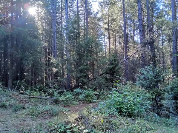 1 Big Dipper Rd, Colfax, CA 95713