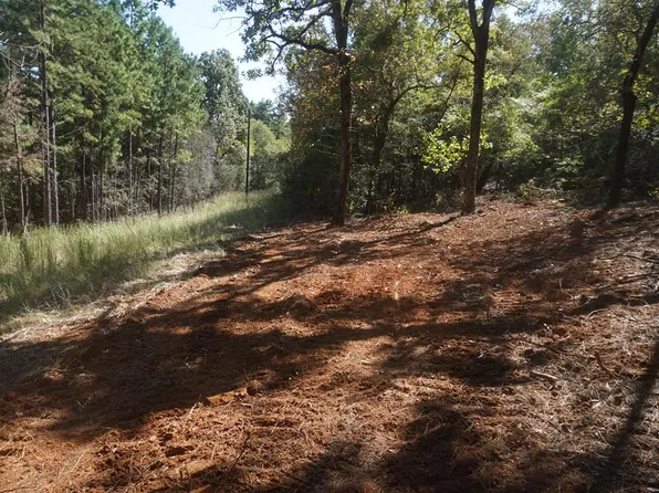 0 An County Rd #451, Palestine, TX 75803