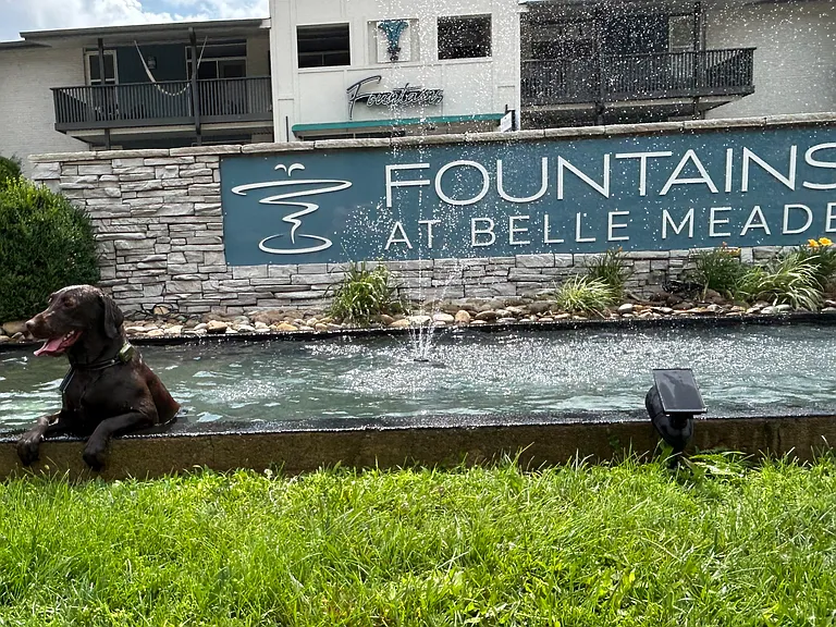 The Fountains at Belle Meade — Photo 29