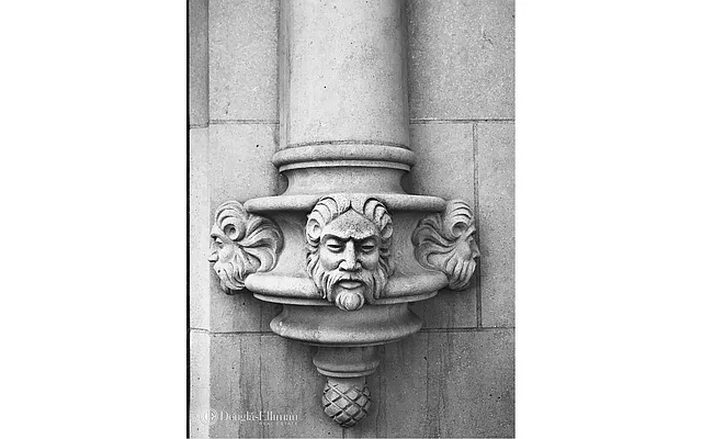 Sold by Douglas Elliman | media 19