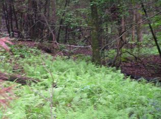 0 Wahsega Rd, Dahlonega, GA 30533