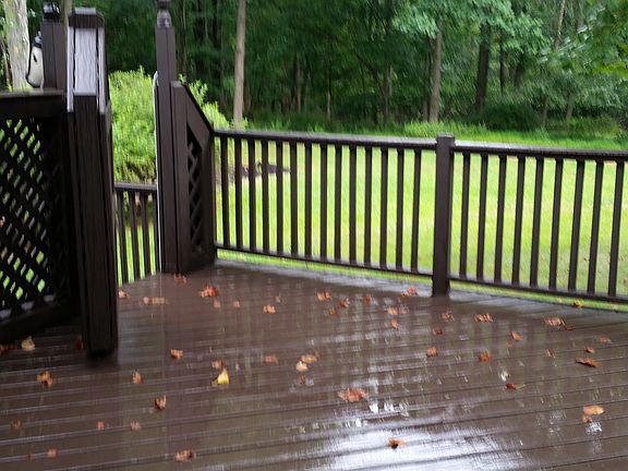 deck stained