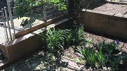 Rented by Terra Magia Inc