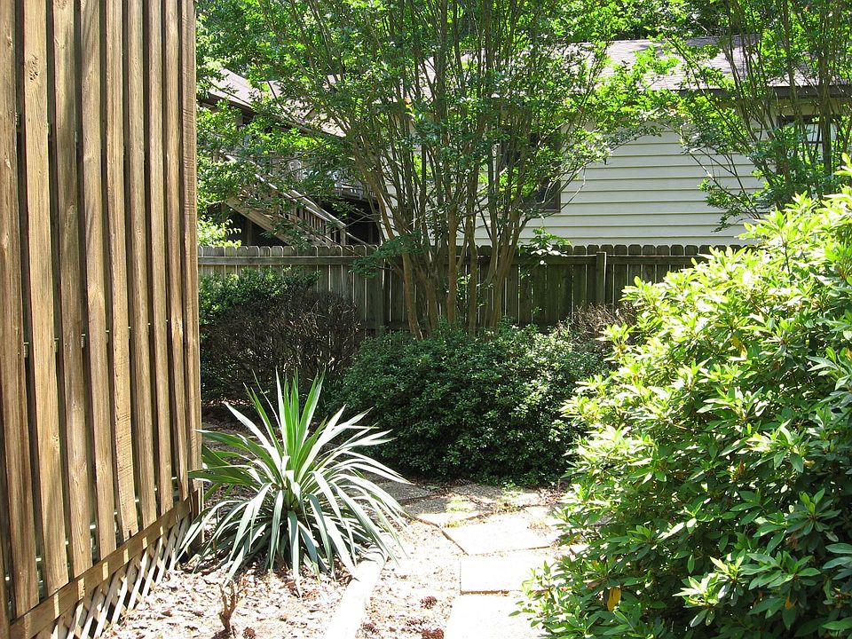 View of the back yard