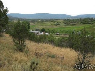 2004 Cedar Crest Ln, Collbran, CO 81624