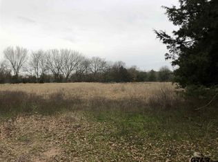 0 County Road 3435, Cookville, TX 75558
