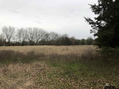 0 County Road 3435, Cookville, TX, 75558