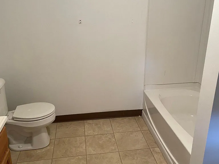 Tub & Shower Combo