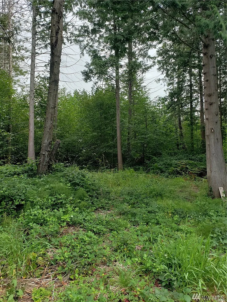 256 Shady Glen Ave photo 1