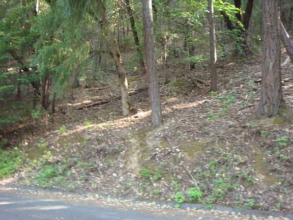 2nd image of 543 Hillcrest Way