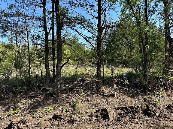 4th image of TRACT Forteen County Rd #2951