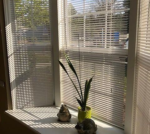 Lots of natural light