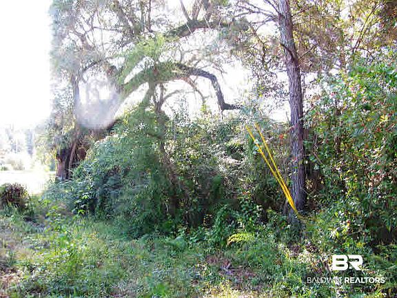 2nd image of 0 Magnolia Church Rd