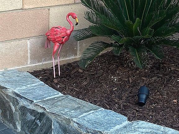 2nd image of 497 Punto Vallata Dr