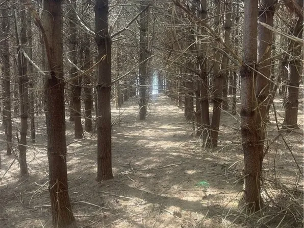 0 Forest Grove Ridge Rd Lot 2, Caldwell, OH 43724