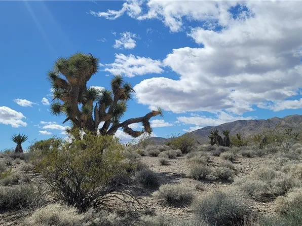 6 W Floral, Meadview, AZ 86444