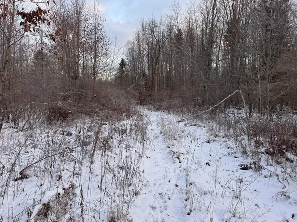 Nhn Pratt, Ossineke, MI 49766