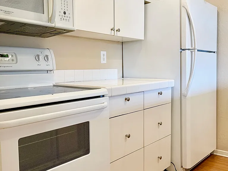 3128 Bristle Branch Dr — Photo 4