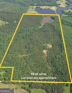 98.81 Ellis Rd, Greenville, GA, 30222