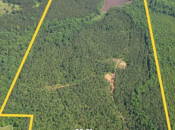 98.81 Ellis Rd, Greenville, GA 30222