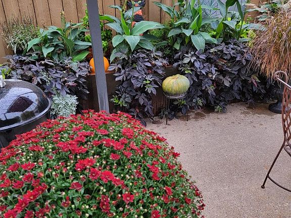 Planters