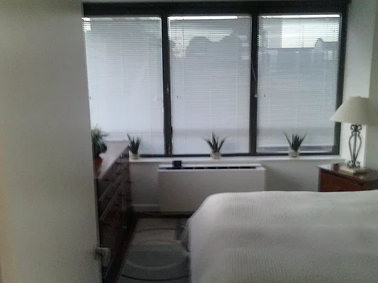 Rented by AJ Clarke | media 13